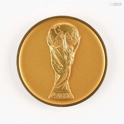 2002 FIFA World Cup Medal