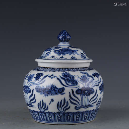 A Chinese Blue and White Porcelain Jar with Cover