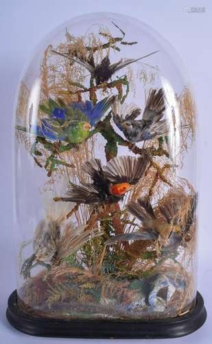 A LARGE VICTORIAN TAXIDERMY BIRD GROUP within a glass