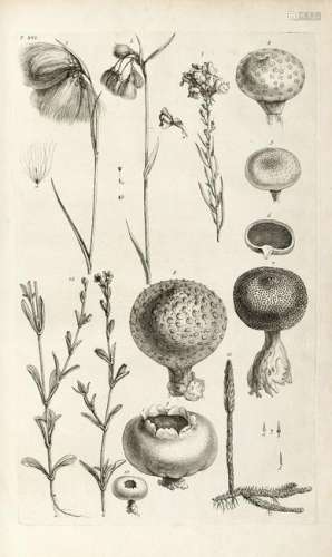 VAILLANT, Sebastien (1669-1721) - Botanicon parisiense.