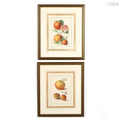 Pair of Framed Fruit Chromolithographs