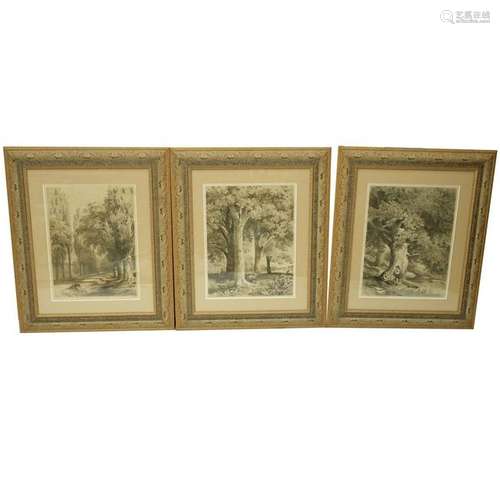 3 Alexandre Calame (1810-1864) Swiss Lithographs