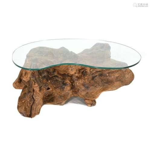 Modern Coffee Table with Kidney Shaped Glass and