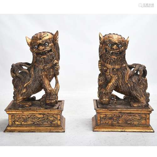 Pair of Large Chinese Gilt Wood Foo Dogs on Plinths