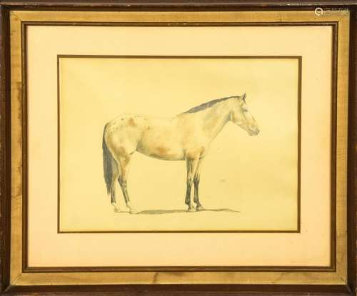 Signed Pencil Drawing of an Appaloosa Horse