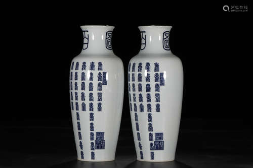 A Pair of Chinese Blue and White Porcelain Vases