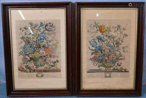 Pair of  walnut Victorian frames with flower prints