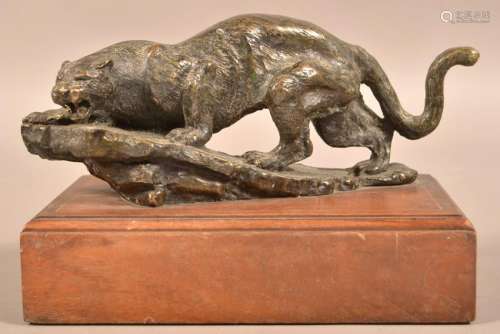Signed Shoop Bronze Figure of a Mountain Lion.