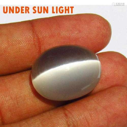 45.80 Ct Natural Moonstone Catseye Oval Cab