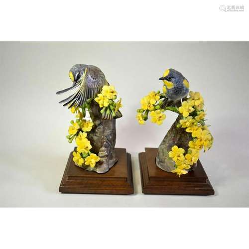 ROYAL WORCESTER DOROTHY DOUGHTY AUDUBON WARBLER AND