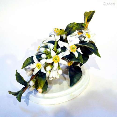 ROYAL WORCESTER DOROTHY DOUGHTY ORANGE BLOSSOM SPRAY,