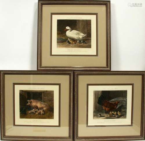 J.F. HERRING HAND-TINTED ETCHINGS ON PAPER, 3 PCS