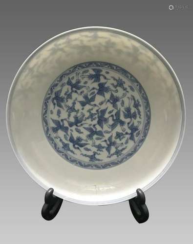 Chinese Blue and White Porcelain Plate