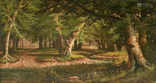 William M. Snyder O/B, Forest Stream Landscape