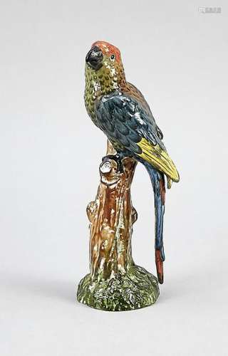 Parrot on a branch, Germa