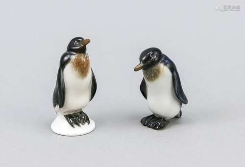 Two penguins, Rosenthal,