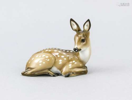 Lying deer, Rosenthal, ma