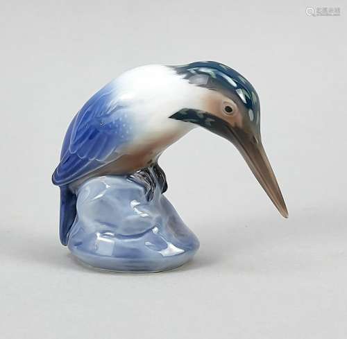 Kingfisher, Royal Copenha