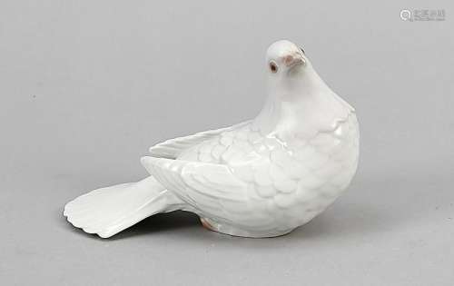 White Dove, Bing & Gronda