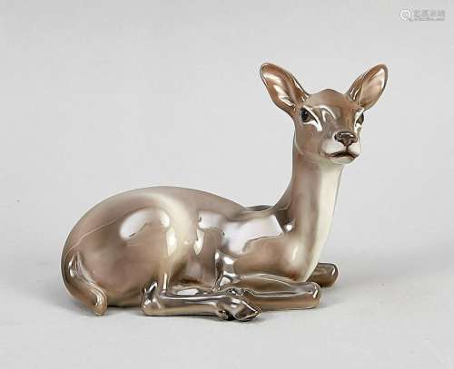 Lying deer, Dahl Jensen,