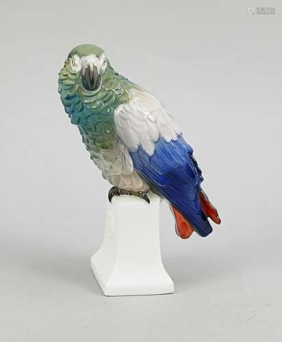 Parrot, Rosenthal, Selb,