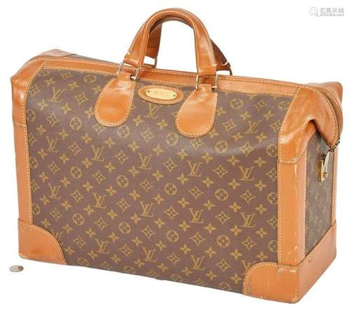 Louis Vuitton Shoe Bag