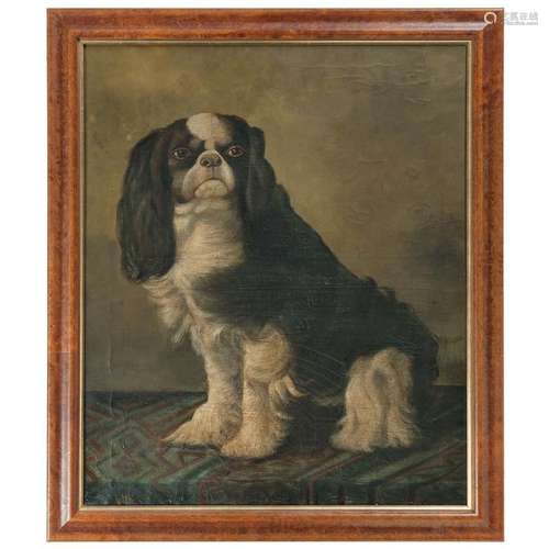 English School, Portrait of a Cavalier King Charles