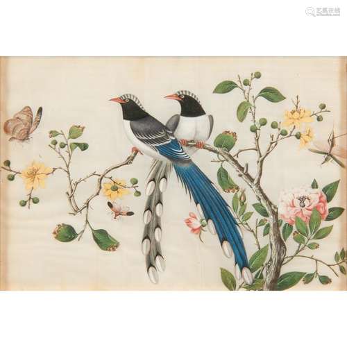 Chinese Watercolor and Gouache Paintings of Birds