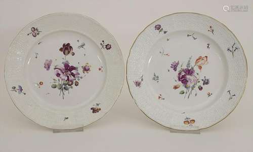 Paar Teller mit Blumenmalerei / A pair of plates with