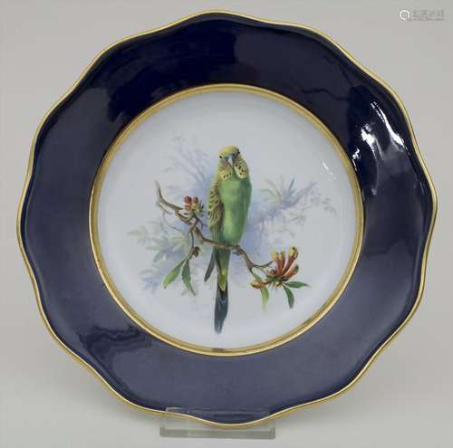 Teller / A plate with a budgie, Meissen, 19. Jh.