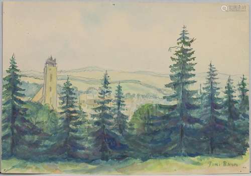 Paul Baum (1859-1932), 'Hügellandschaft mit Tannenwald'