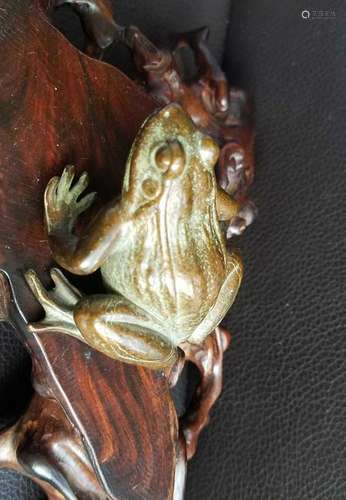 Bronze Toad