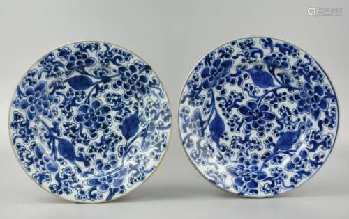 Pair of B & W Floral Plate, Kangxi Period