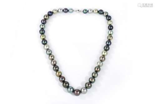 14KTahitian  Black Pearl Necklace
