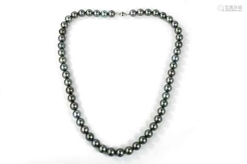 Tahitian  Multicolor Pearl Necklace