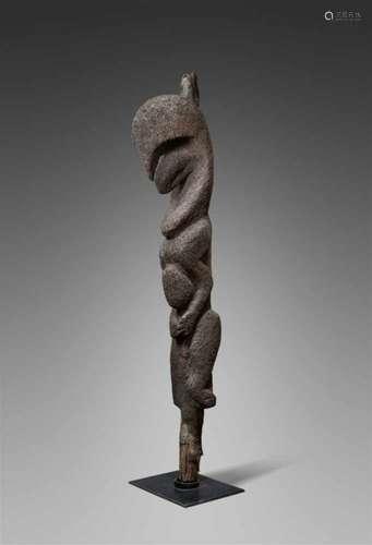 AMBRYM TREE FERN FIGURE