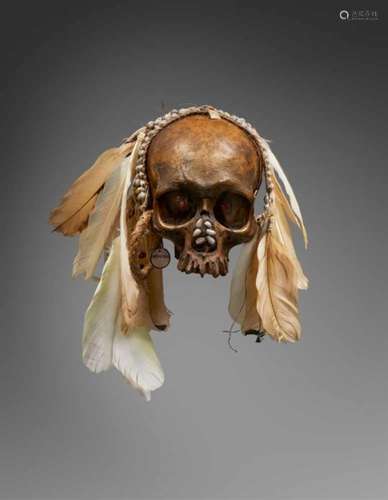 ASMAT SKULL