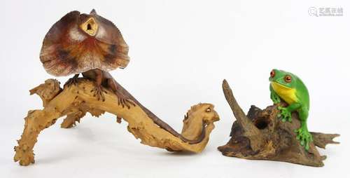 (lot of 2) Taxidermy frilled-neck lizard and a frog