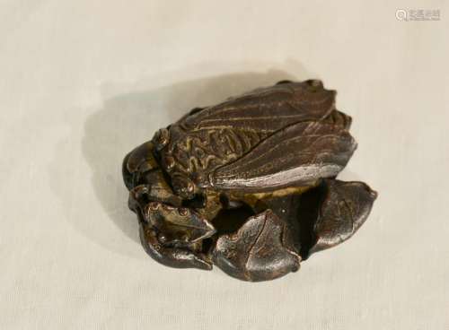 Chinese Scholar Bronze Paper Weight of Insect - With