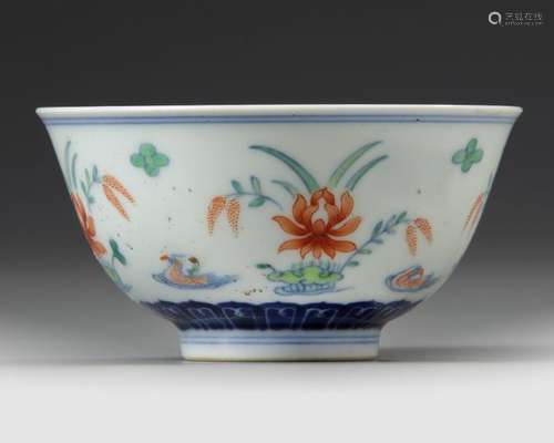 A CHINESE DOUCAI 'MANDARIN DUCKS' BOWL