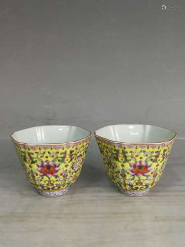 Pair of Qing Porcelain Famille Rose Cup