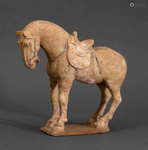 A terracotta horse, China, Tang Dynasty (618 906)