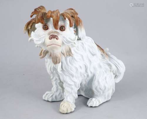 MEISSEN. Round dog bump in polychrome porcelain. M…