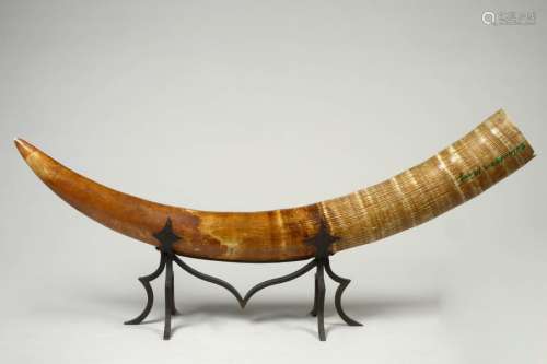 Large tusk made of raw ivory from the D.R.C.R. Ret…