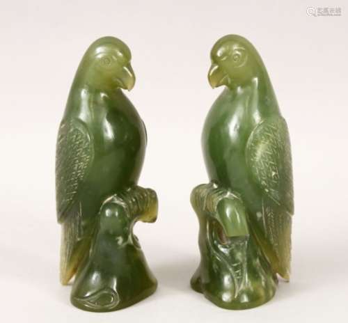 A PAIR OF 20TH CENTURY CHINESE CARVED JADE / HARDSTONE FIGURES OF PARROTS, 14cm high.