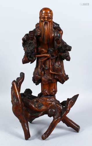 A LARGE 19TH CENTURY CHINESE ROOTWOOD FIGURE OF SHOU LAO, stood upon a naturalistic formed base