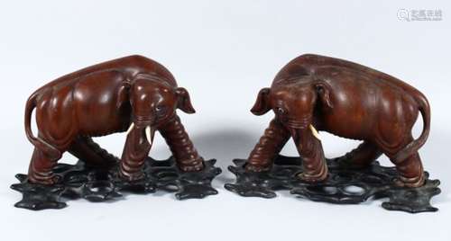 A APIR OF 19TH / 20TH CENTURY CHINESE CARVED HARDWOOD FIGURES OF ELEPHANTS, both in striding poses