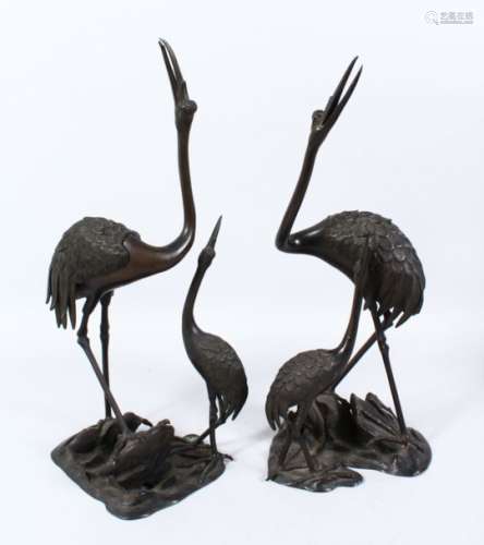 A PAIR OF JAPANESE MEIJI PERIOD BRONZE KORO FIGURES OF MANCHURIAN CRANES, the figures stood upon