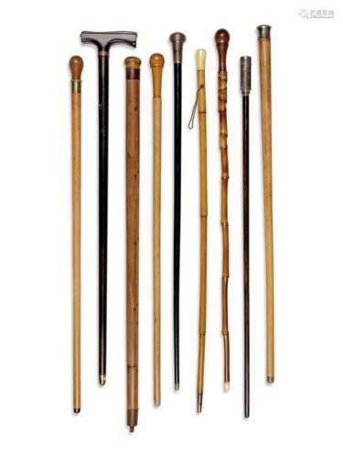 Nine English and Continental Tool System Walking Sticks