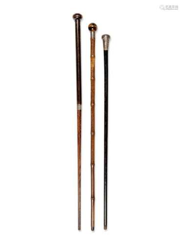 Two English Silver-Mounted Thermometer System Walking